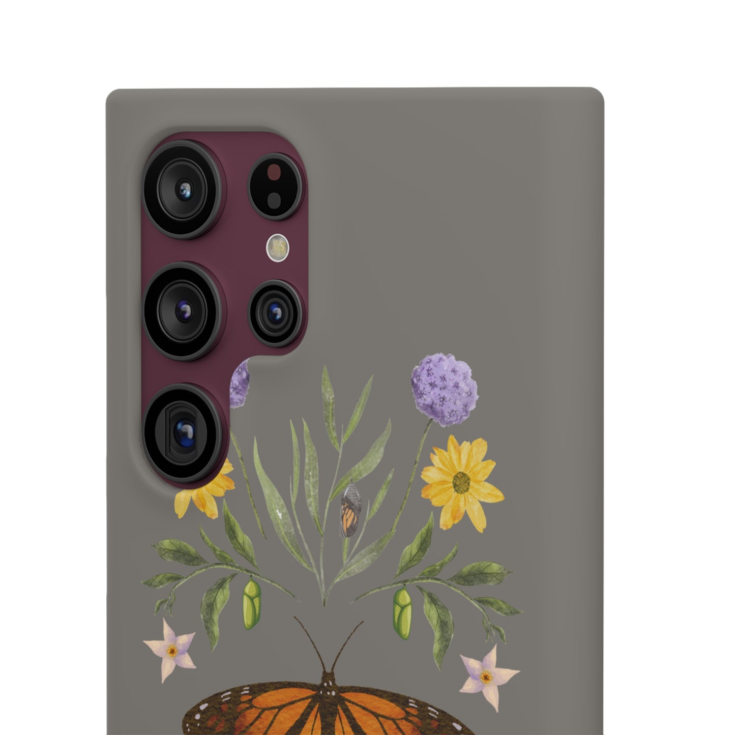 Monarch Butterfly Cases